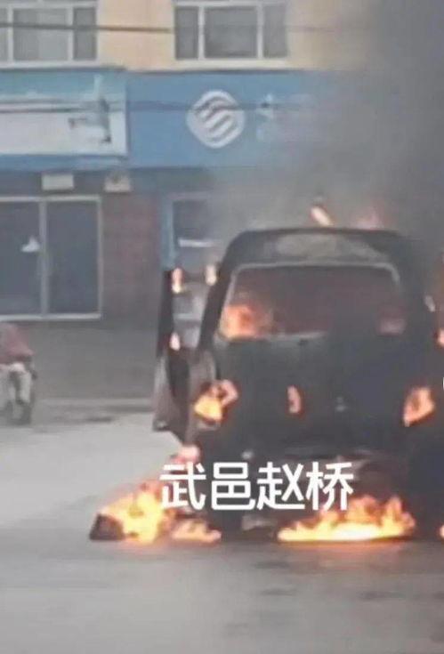 衡水疫情最新爆料,追踪病毒变异，共筑防疫防线  第3张